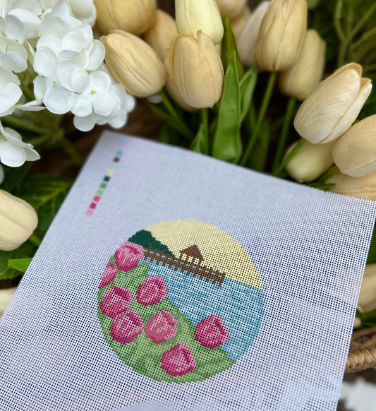 Tulips by the Bay